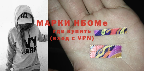 прущие грибы Переславль-Залесский