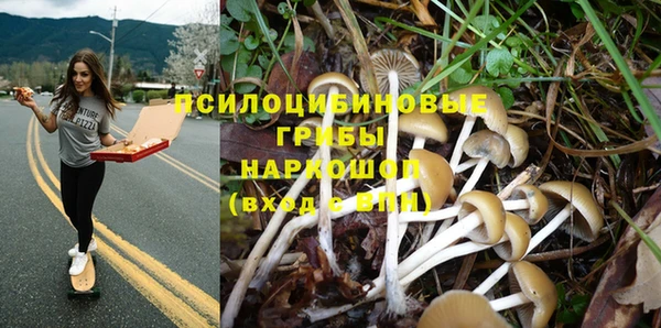 ALPHA PVP Армянск