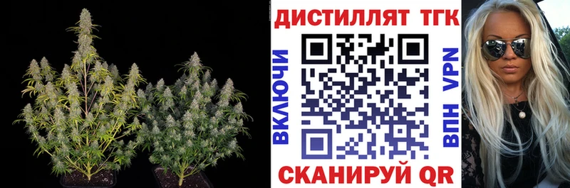Дистиллят ТГК жижа  Бакал 